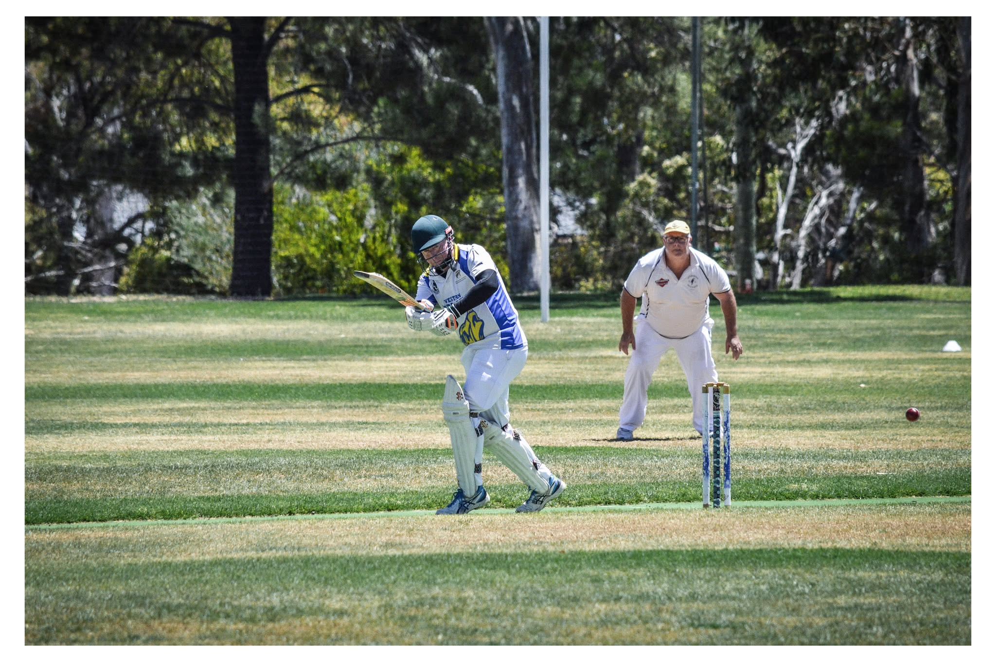Western Wolves player batting during a match